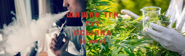 тгк Абаза