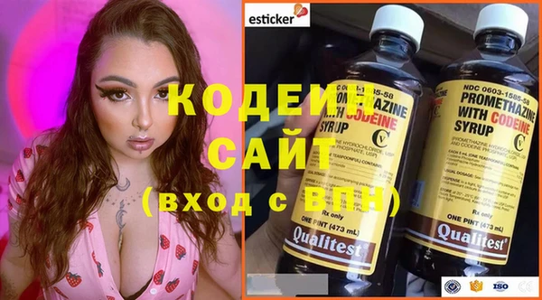 тгк Абаза