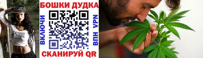 где найти Александровск Шишки марихуана OG Kush